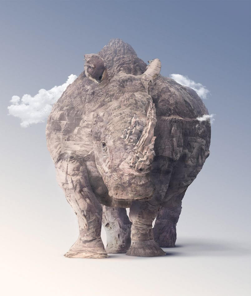 Rinoceronte  de Josh Dykgraaf