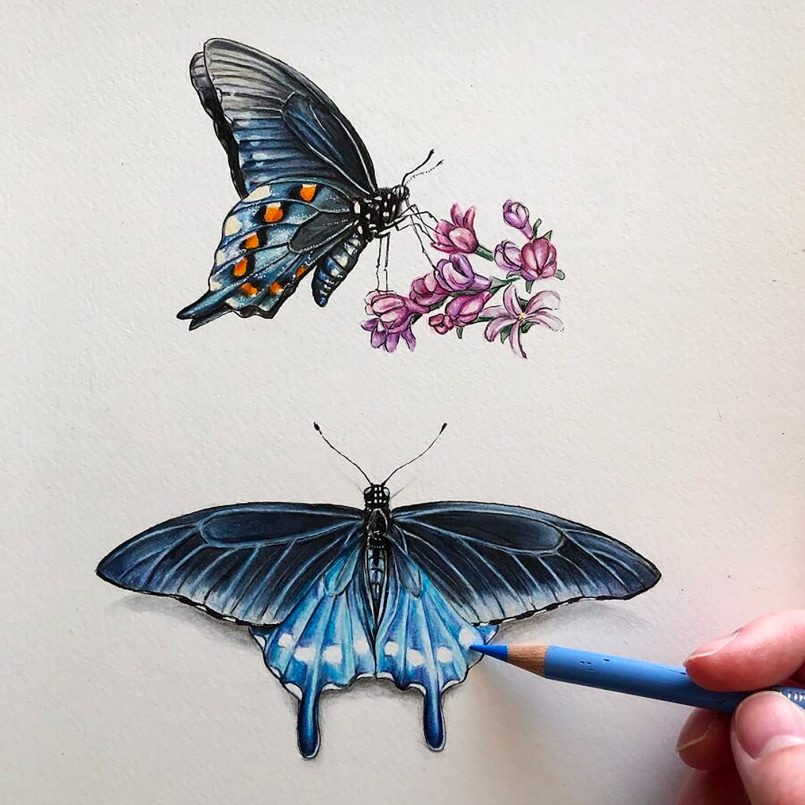 borboletas clássicas de  Phoebe Atkey