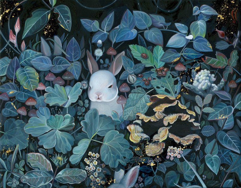coelho na floresta por Joanne Nam