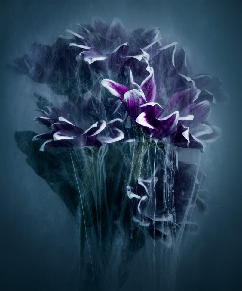 união de flores por Robert Peek