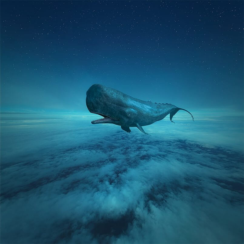 baleia ao luar por Michal Klimczak