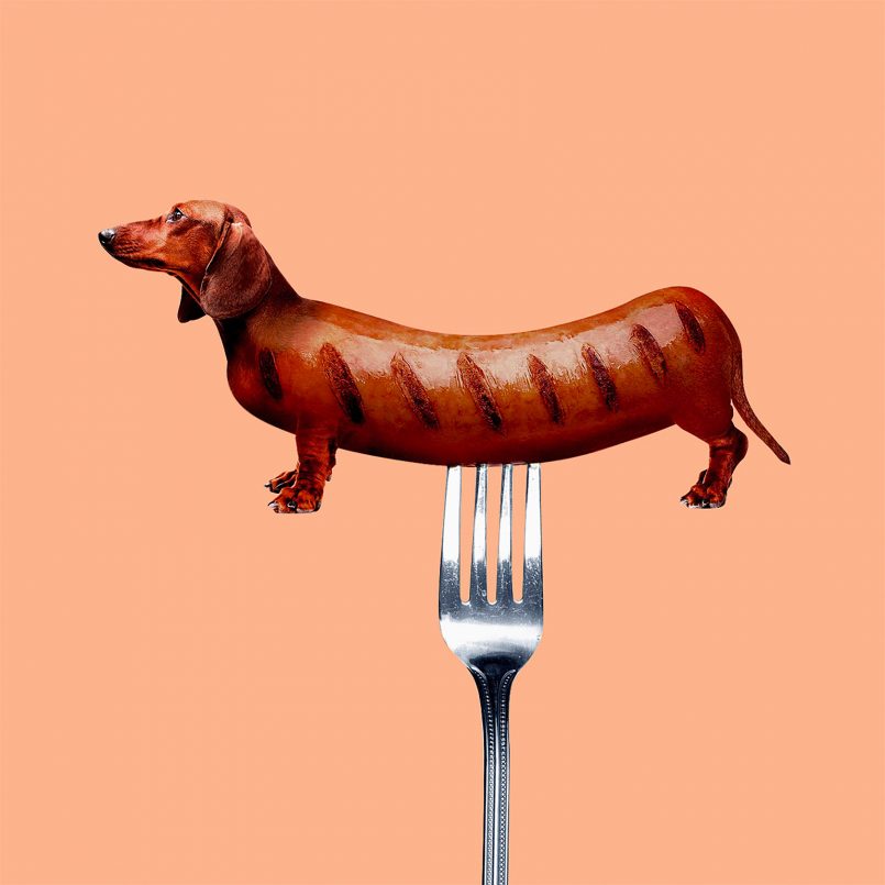 salsicha de cachorro por Randy Lewis 
