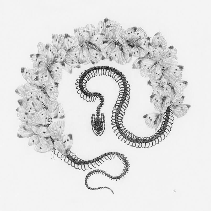 pesquisa de filhote de cobra  por Zoe Keller