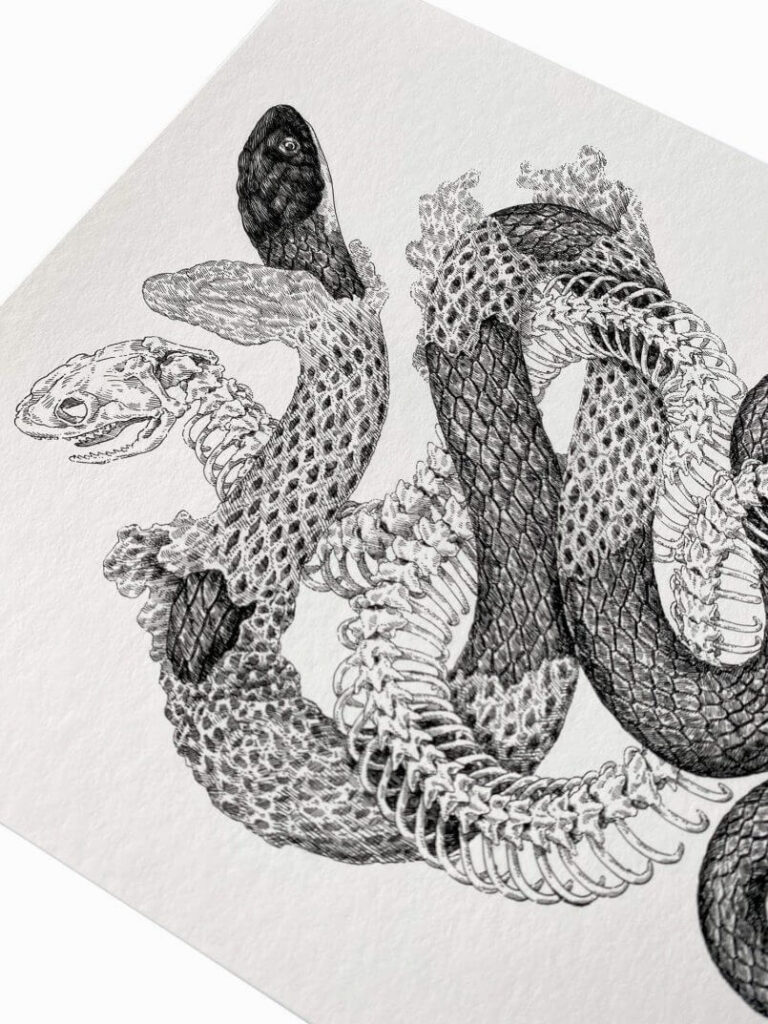 peruca de cobras  por Zoe Keller