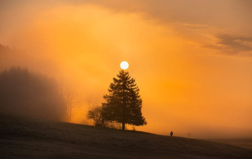 sol sobre a árvore por Florian Wenzel