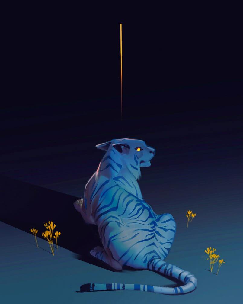 tigre noturno por Pablo Hurtado