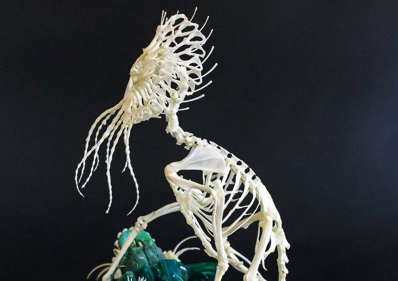 vai que é um alien Esculturas de ossos de animais por Gerard Geer, que é um Artista de escultura situado em Melbourne, que cria criaturas híbridas fantásticas, combinando ossos de animais, espécimes e outros elementos naturais.