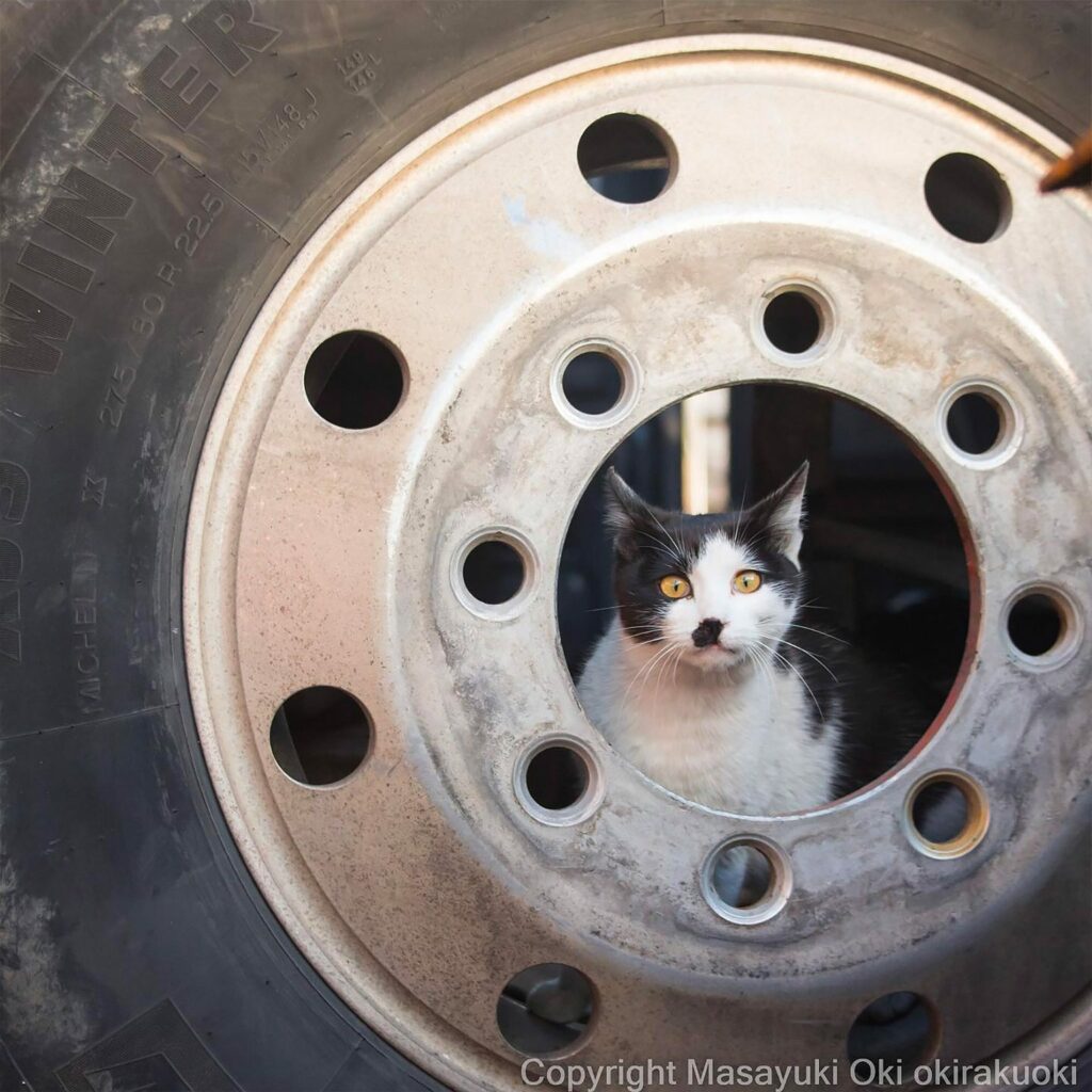 escondido no pneu de Masayuki Oki