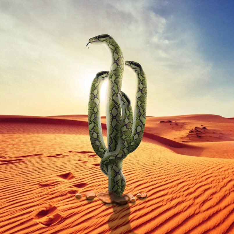 serpente do deserto por Martijn Schrijver